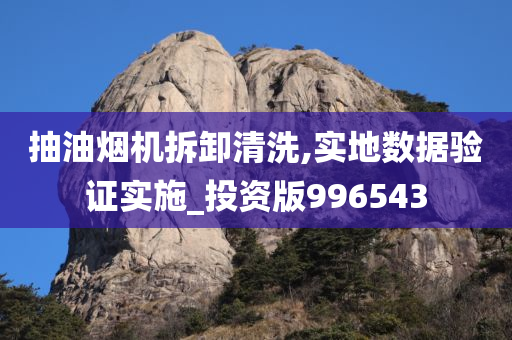 抽油烟机拆卸清洗,实地数据验证实施_投资版996543