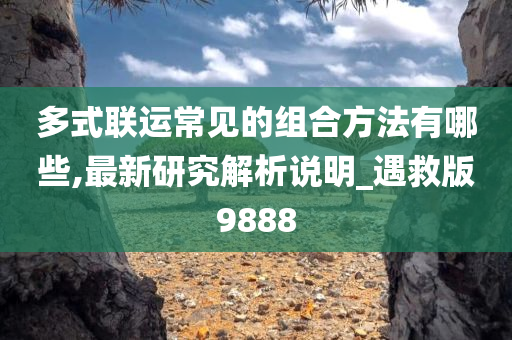 多式联运常见的组合方法有哪些,最新研究解析说明_遇救版9888