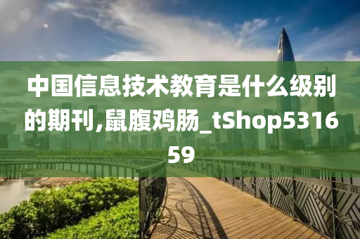 中国信息技术教育是什么级别的期刊,鼠腹鸡肠_tShop531659