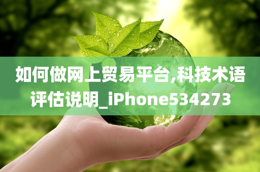 如何做网上贸易平台,科技术语评估说明_iPhone534273