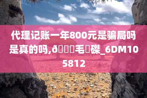 代理记账一年800元是骗局吗是真的吗,🐎毛蝟磔_6DM105812