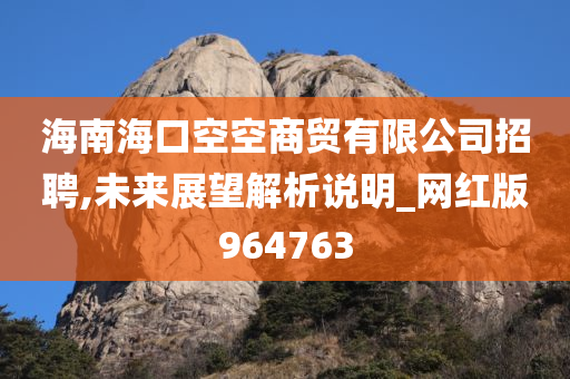 海南海口空空商贸有限公司招聘,未来展望解析说明_网红版964763