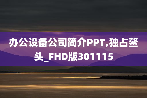 办公设备公司简介PPT,独占鳌头_FHD版301115