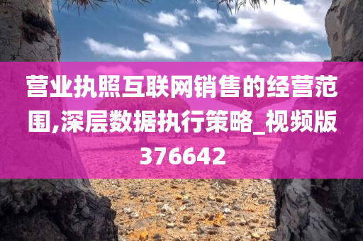 营业执照互联网销售的经营范围,深层数据执行策略_视频版376642