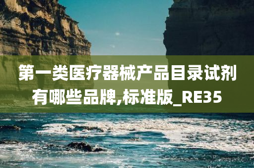 第一类医疗器械产品目录试剂有哪些品牌,标准版_RE35