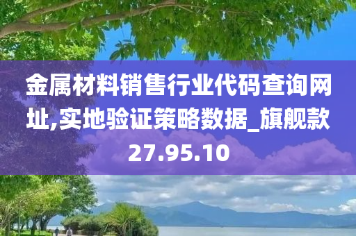 金属材料销售行业代码查询网址,实地验证策略数据_旗舰款27.95.10