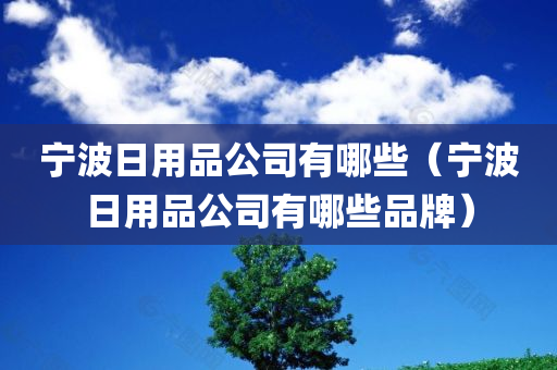 宁波日用品公司有哪些（宁波日用品公司有哪些品牌）