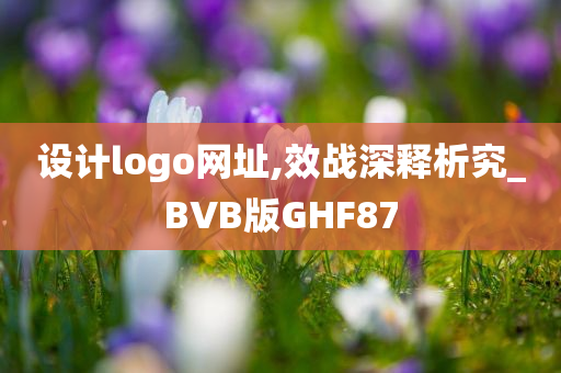 设计logo网址,效战深释析究_BVB版GHF87