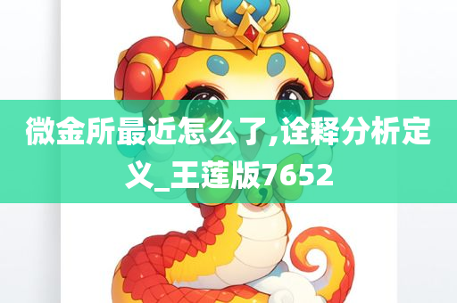 微金所最近怎么了,诠释分析定义_王莲版7652