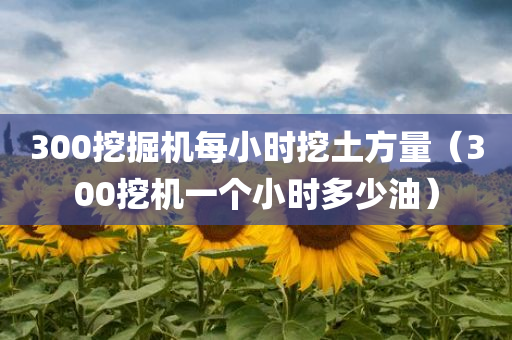 300挖掘机每小时挖土方量（300挖机一个小时多少油）