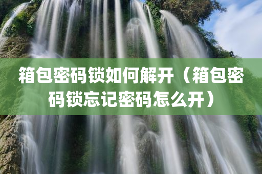 箱包密码锁如何解开（箱包密码锁忘记密码怎么开）