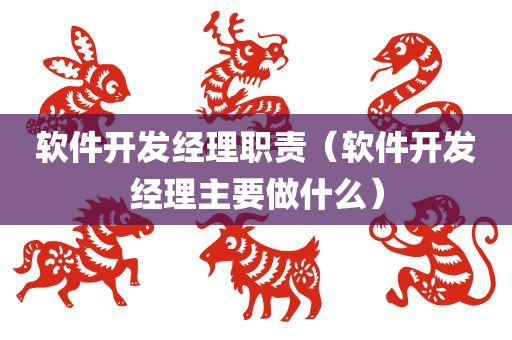 软件开发经理职责（软件开发经理主要做什么）