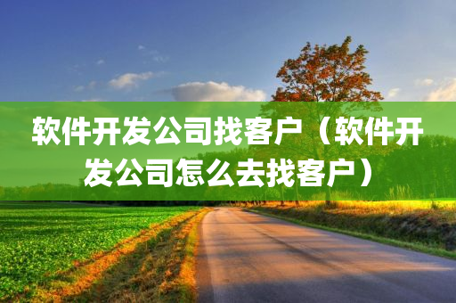 软件开发公司找客户（软件开发公司怎么去找客户）