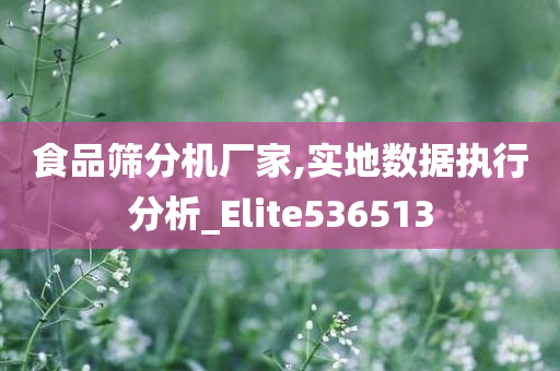 食品筛分机厂家,实地数据执行分析_Elite536513