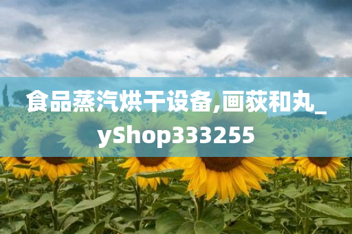 食品蒸汽烘干设备,画荻和丸_yShop333255