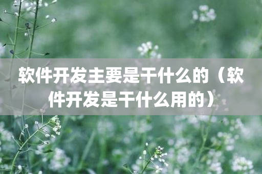 软件开发主要是干什么的（软件开发是干什么用的）