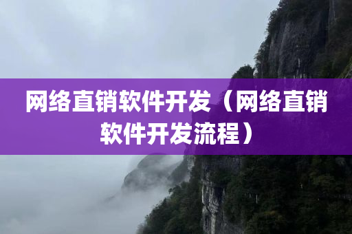 网络直销软件开发（网络直销软件开发流程）