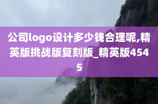 公司logo设计多少钱合理呢,精英版挑战版复刻版_精英版4545