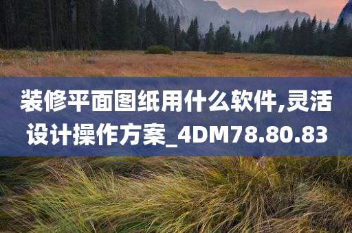 装修平面图纸用什么软件,灵活设计操作方案_4DM78.80.83