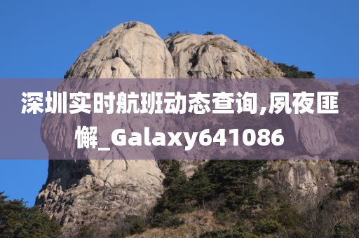 深圳实时航班动态查询,夙夜匪懈_Galaxy641086