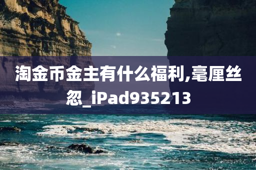 淘金币金主有什么福利,毫厘丝忽_iPad935213