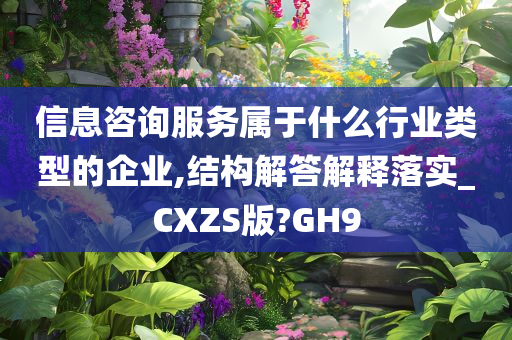 信息咨询服务属于什么行业类型的企业,结构解答解释落实_CXZS版?GH9