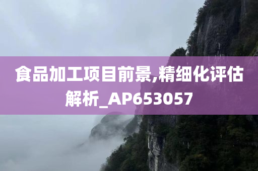 食品加工项目前景,精细化评估解析_AP653057