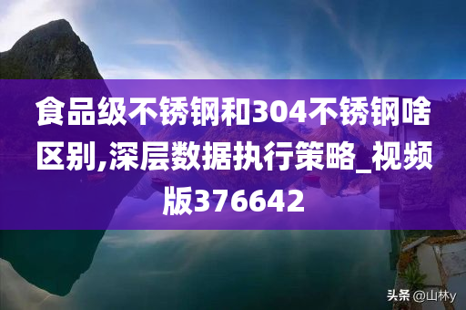 食品级不锈钢和304不锈钢啥区别,深层数据执行策略_视频版376642