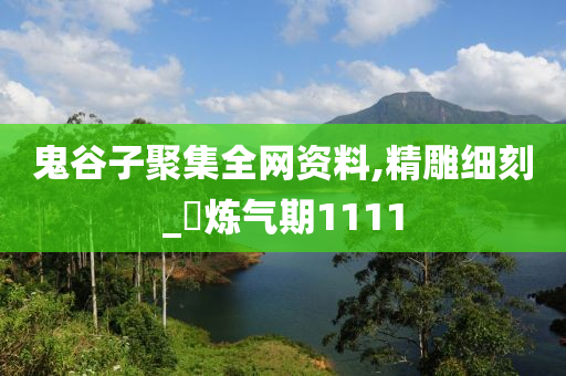 鬼谷子聚集全网资料,精雕细刻_‌炼气期1111