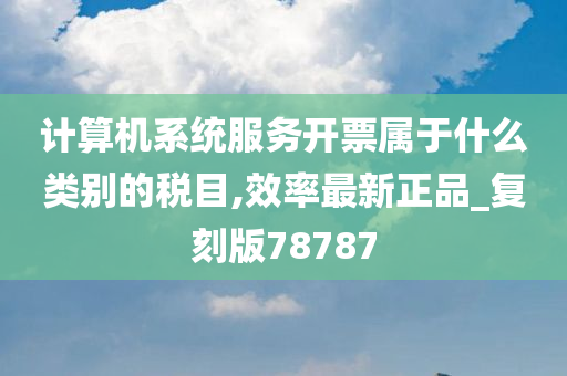 计算机系统服务开票属于什么类别的税目,效率最新正品_复刻版78787