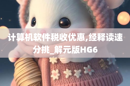 计算机软件税收优惠,经释读速分挑_解元版HG6