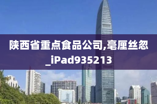 陕西省重点食品公司,毫厘丝忽_iPad935213