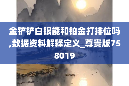 金铲铲白银能和铂金打排位吗,数据资料解释定义_尊贵版758019