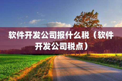 软件开发公司报什么税（软件开发公司税点）