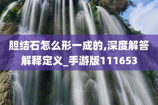 胆结石怎么形一成的,深度解答解释定义_手游版111653