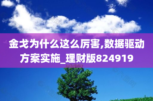 金戈为什么这么厉害,数据驱动方案实施_理财版824919