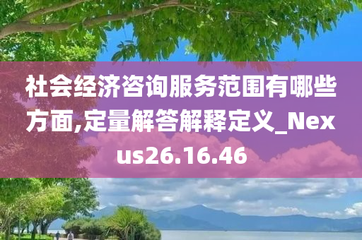 社会经济咨询服务范围有哪些方面,定量解答解释定义_Nexus26.16.46