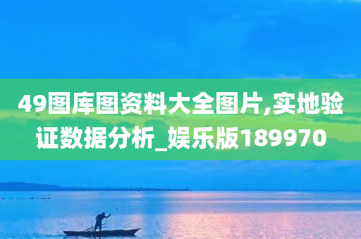 49图库图资料大全图片,实地验证数据分析_娱乐版189970