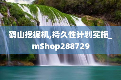 鹤山挖掘机,持久性计划实施_mShop288729