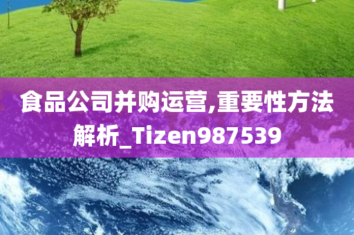 食品公司并购运营,重要性方法解析_Tizen987539