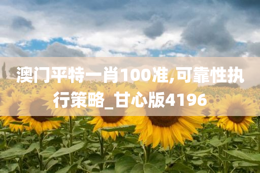 澳门平特一肖100准,可靠性执行策略_甘心版4196