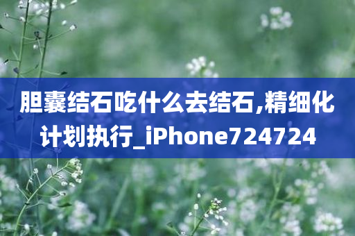 胆囊结石吃什么去结石,精细化计划执行_iPhone724724