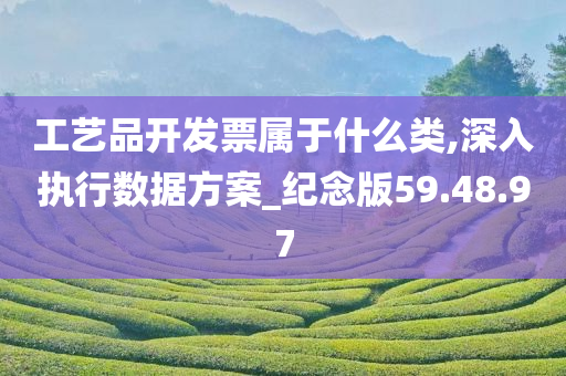 工艺品开发票属于什么类,深入执行数据方案_纪念版59.48.97