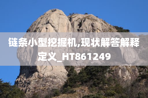 链条小型挖掘机,现状解答解释定义_HT861249