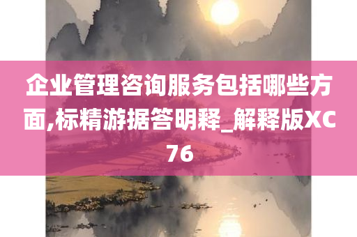 企业管理咨询服务包括哪些方面,标精游据答明释_解释版XC76