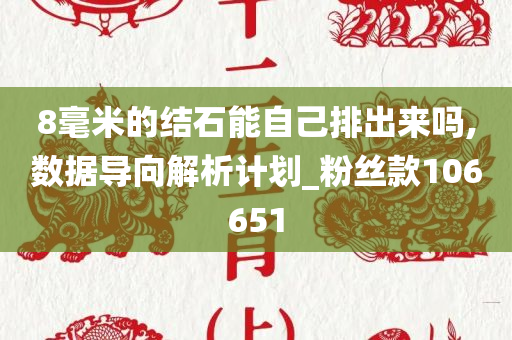 8毫米的结石能自己排出来吗,数据导向解析计划_粉丝款106651