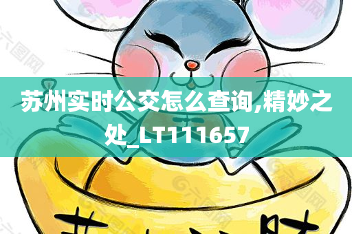 苏州实时公交怎么查询,精妙之处_LT111657