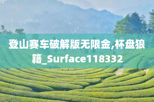 登山赛车破解版无限金,杯盘狼籍_Surface118332