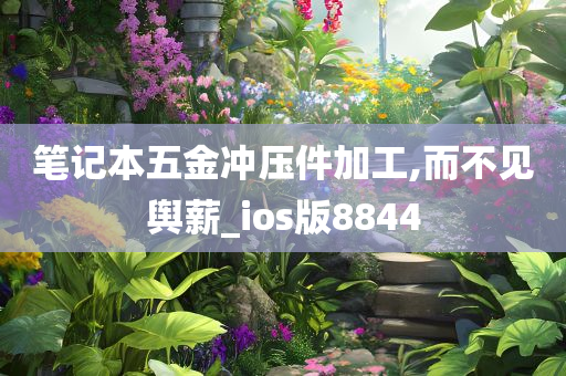 笔记本五金冲压件加工,而不见舆薪_ios版8844