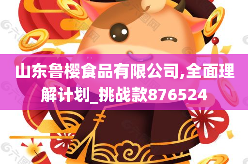 山东鲁樱食品有限公司,全面理解计划_挑战款876524